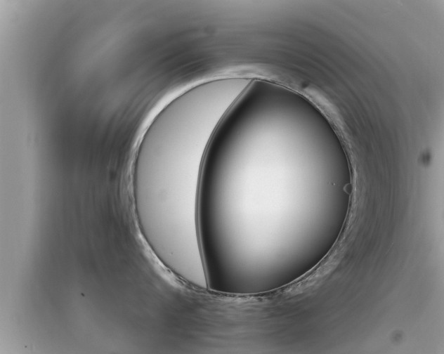 X0000095110816200712070918