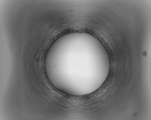 X0000095110817200712070917