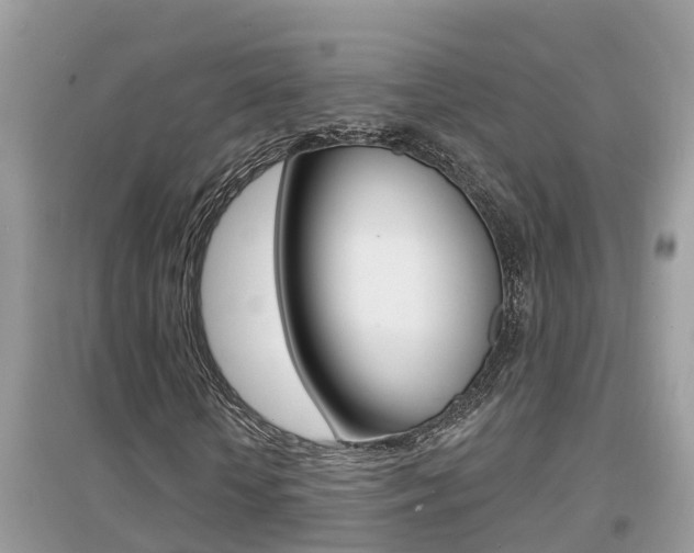 X0000095110818200712070917