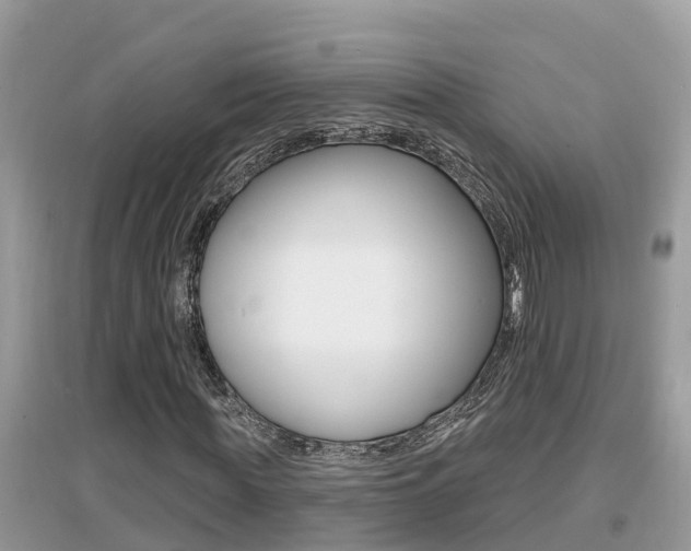 X0000095110819200712070917