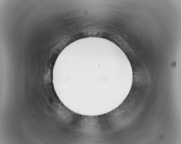 X0000095110820200712070917