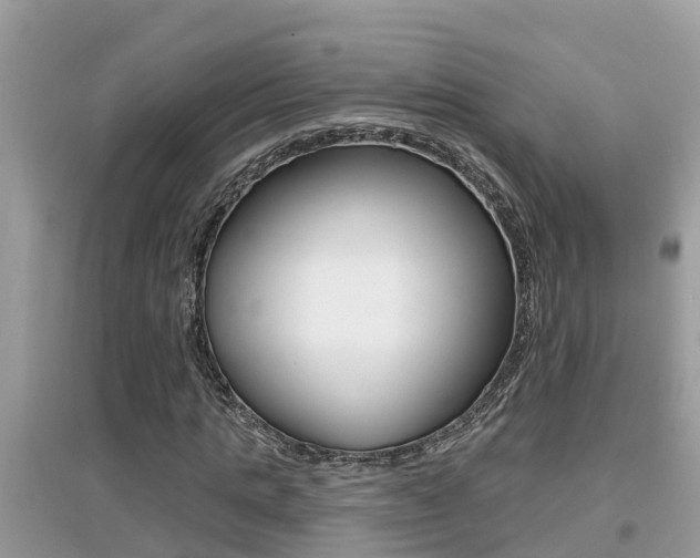 X0000095110821200712070917