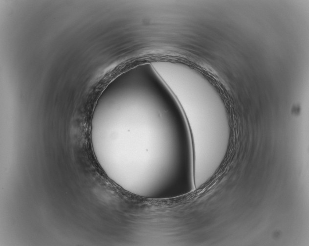 X0000095110822200712070917