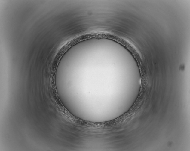 X0000095110823200712070917