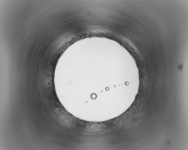 X0000095110824200712070917