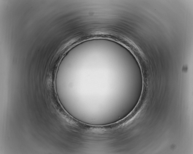 X0000095110825200712070917