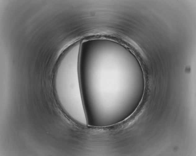 X0000095110826200712070917