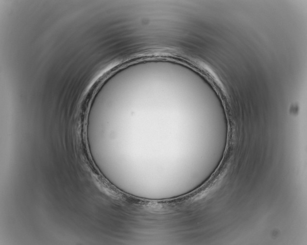 X0000095110827200712070917