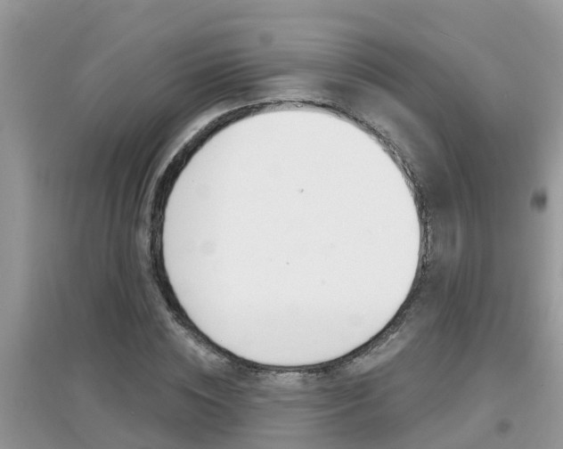 X0000095110828200712070917