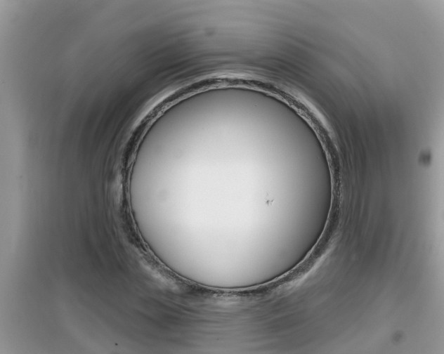 X0000095110829200712070917