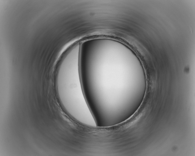 X0000095110830200712070917