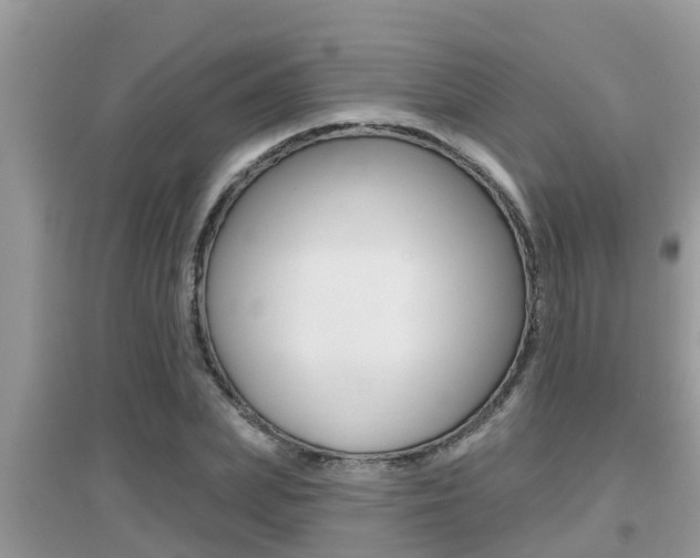 X0000095110831200712070917