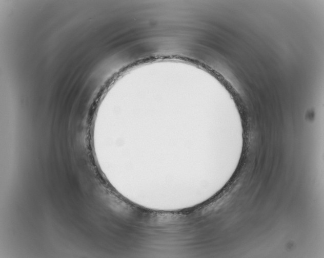X0000095110832200712070917