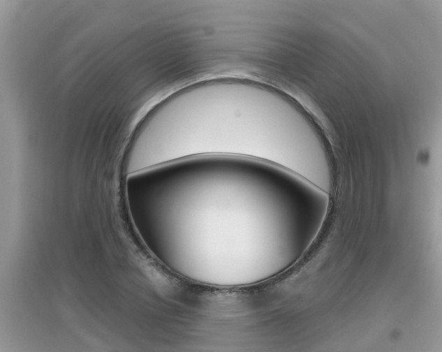 X0000095110834200712070917