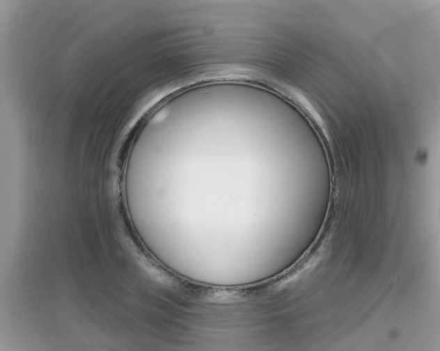 X0000095110835200712070917