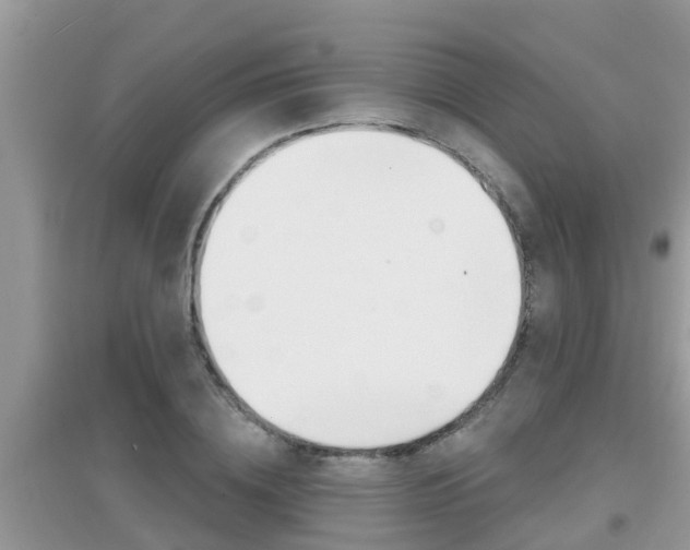 X0000095110836200712070917