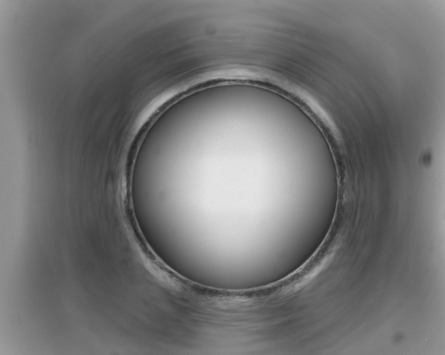 X0000095110837200712070917