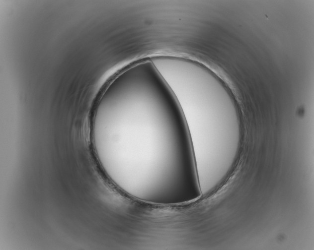 X0000095110838200712070917