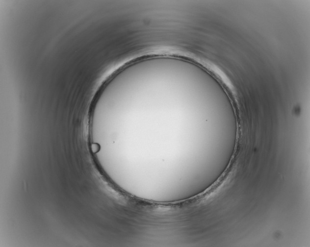 X0000095110839200712070917