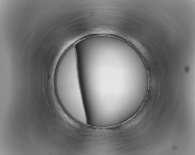 X0000095110840200712070917