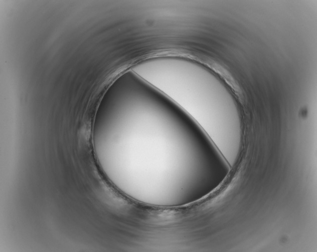 X0000095110841200712070917