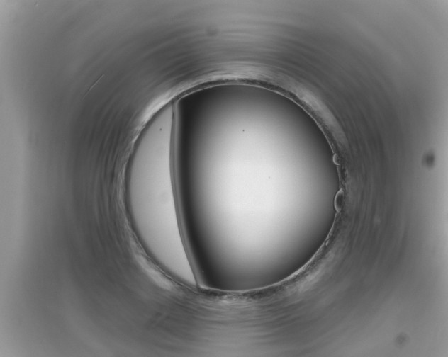 X0000095110842200712070917