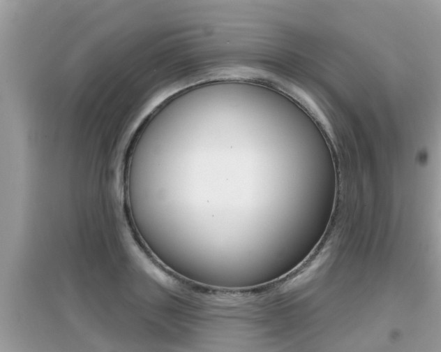 X0000095110843200712070917