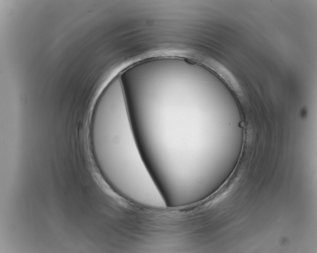 X0000095110844200712070917
