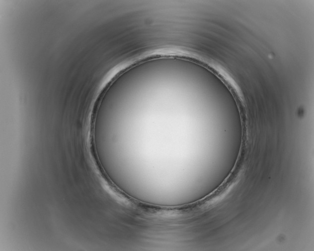 X0000095110845200712070917