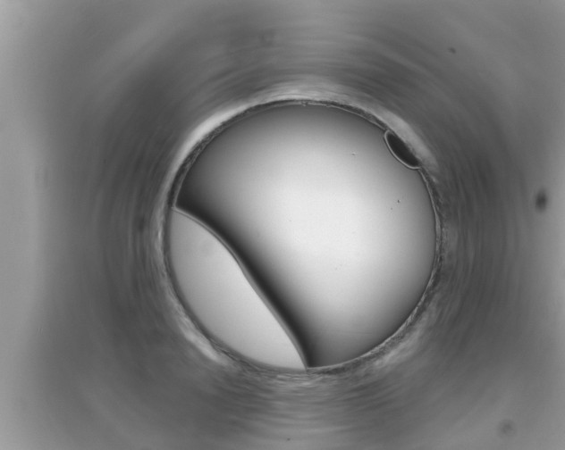 X0000095110846200712070917