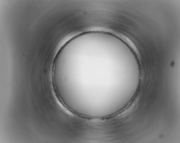 X0000095110847200712070917