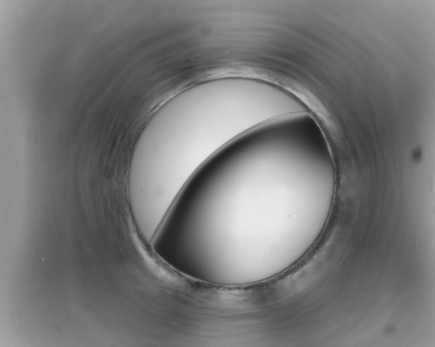 X0000095110849200712070917