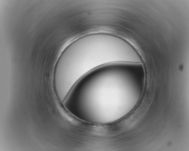 X0000095110850200712070917