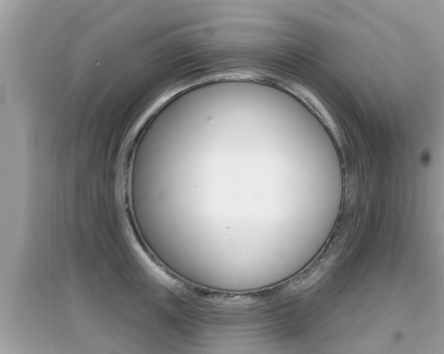 X0000095110851200712070917