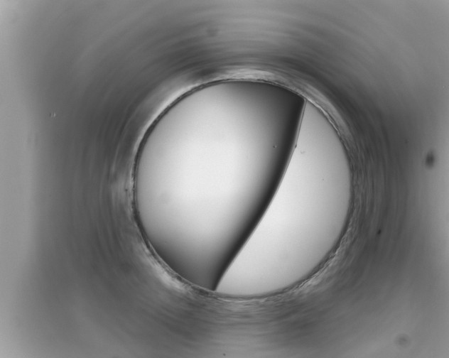 X0000095110852200712070917