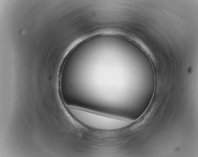 X0000095110853200712070917