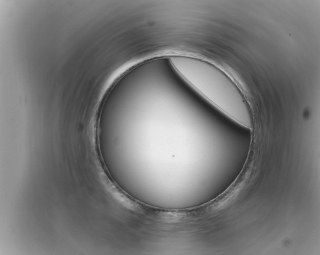 X0000095110854200712070917