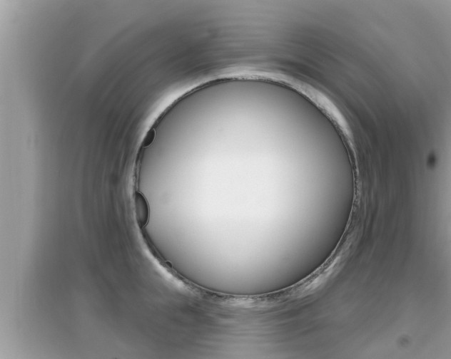 X0000095110855200712070917