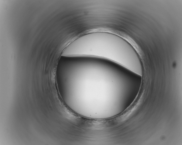 X0000095110857200712070917