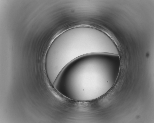 X0000095110858200712070917