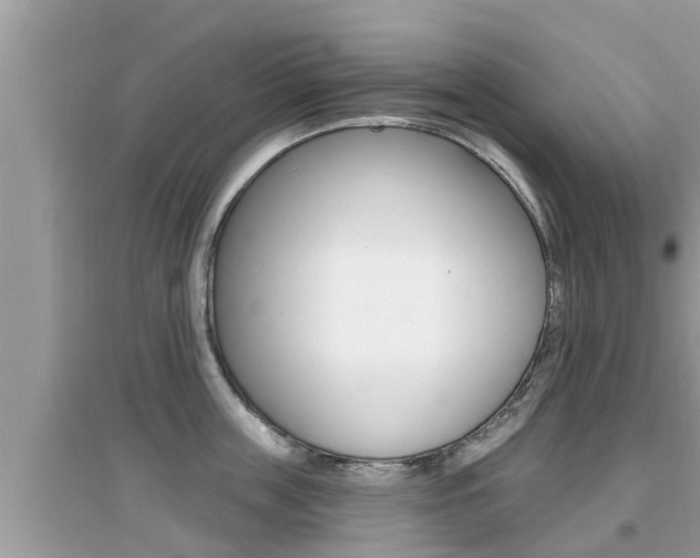 X0000095110859200712070918