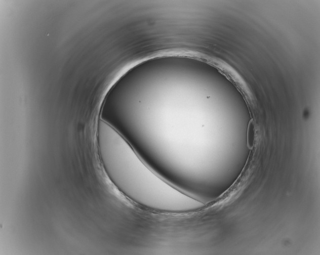 X0000095110860200712070918