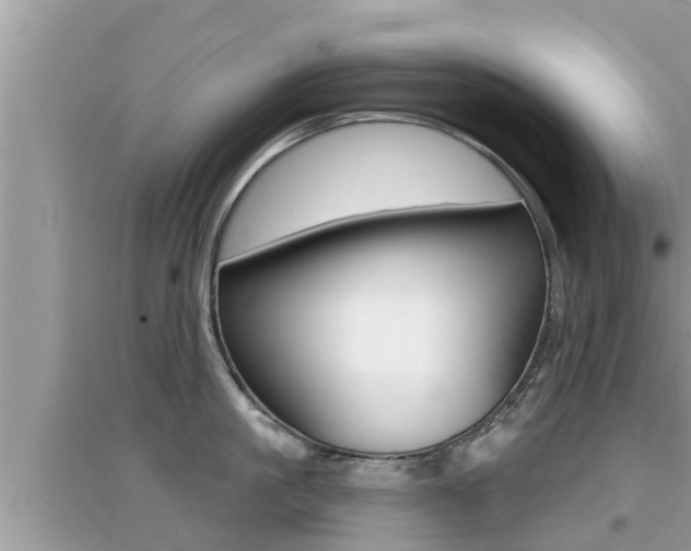 X0000095110861200712070918