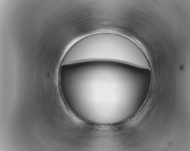 X0000095110862200712070918
