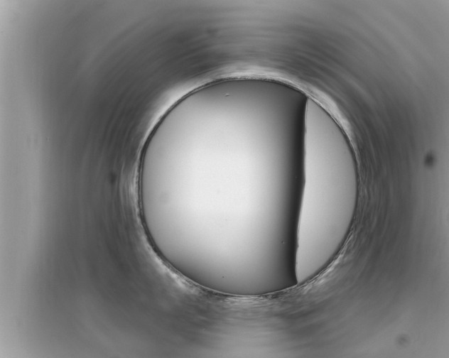X0000095110863200712070918