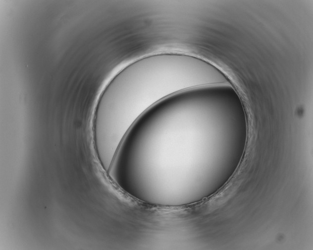 X0000095110864200712070918
