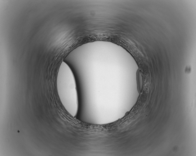 X0000095110866200712070917
