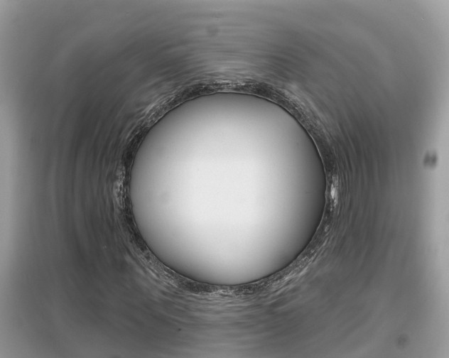 X0000095110867200712070917