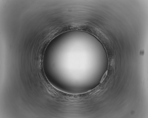 X0000095110868200712070917