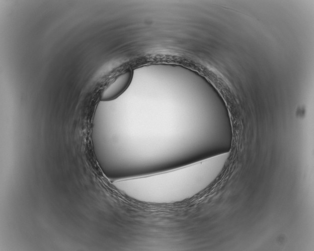 X0000095110870200712070917